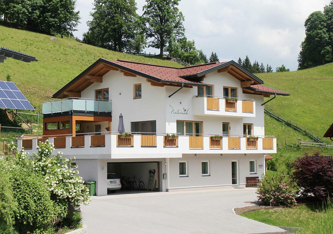Appartements Naturnah Schladming Exterior foto